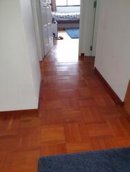 Opera Estate (D15), Semi-Detached #489157681